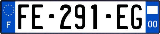 FE-291-EG