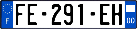 FE-291-EH