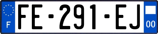 FE-291-EJ