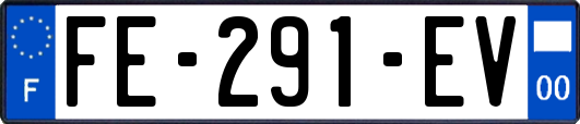 FE-291-EV
