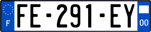 FE-291-EY