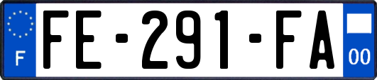 FE-291-FA