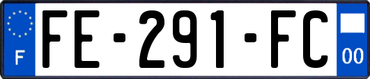 FE-291-FC