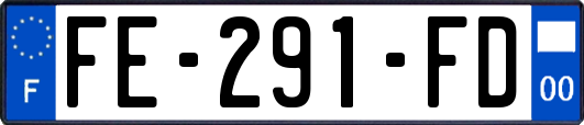 FE-291-FD