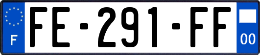 FE-291-FF