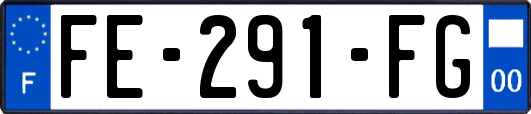 FE-291-FG