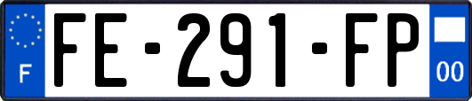 FE-291-FP