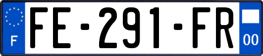 FE-291-FR