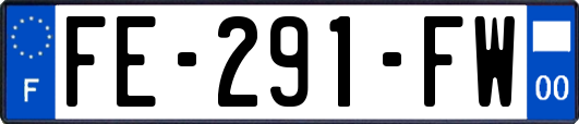 FE-291-FW