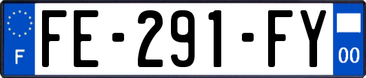 FE-291-FY