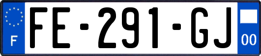 FE-291-GJ