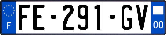 FE-291-GV