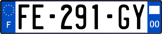 FE-291-GY
