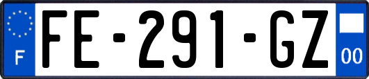 FE-291-GZ