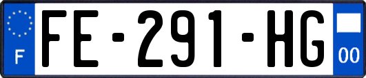 FE-291-HG
