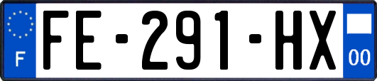 FE-291-HX