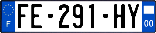 FE-291-HY