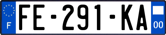 FE-291-KA