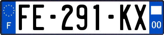 FE-291-KX