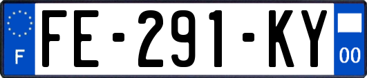 FE-291-KY