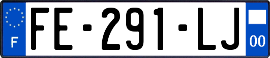 FE-291-LJ