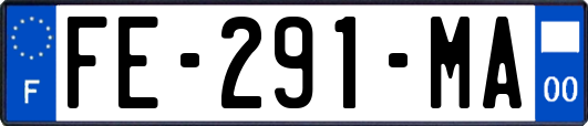 FE-291-MA
