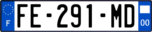 FE-291-MD
