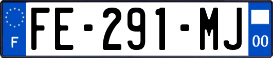 FE-291-MJ