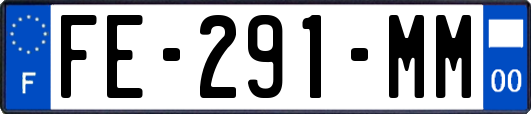 FE-291-MM