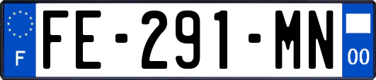 FE-291-MN