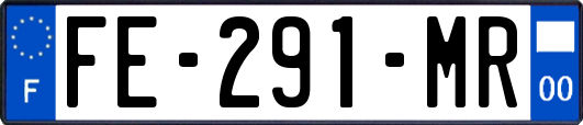 FE-291-MR