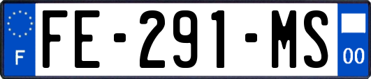 FE-291-MS