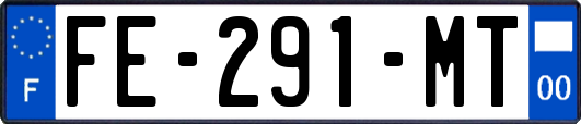 FE-291-MT