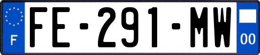FE-291-MW