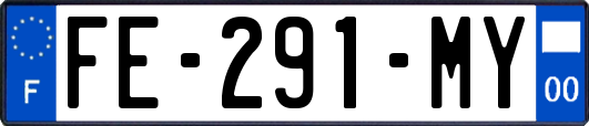 FE-291-MY