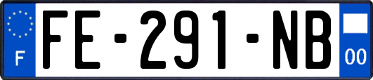 FE-291-NB