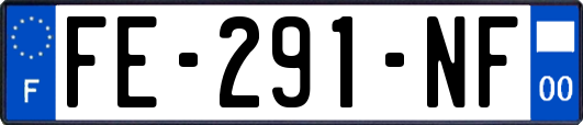 FE-291-NF