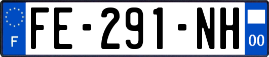 FE-291-NH