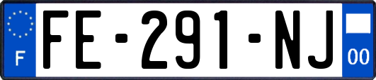 FE-291-NJ