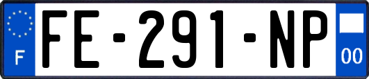 FE-291-NP