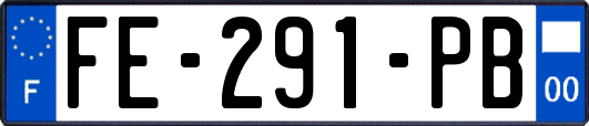 FE-291-PB