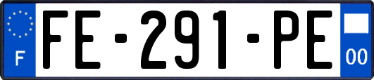 FE-291-PE