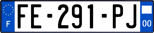 FE-291-PJ