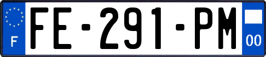 FE-291-PM