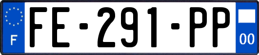 FE-291-PP