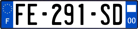 FE-291-SD
