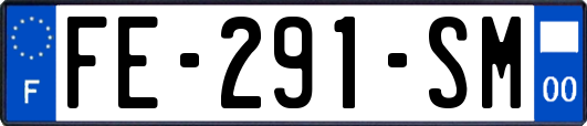 FE-291-SM