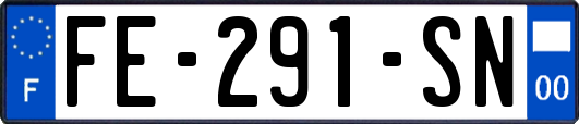 FE-291-SN