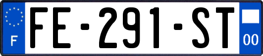 FE-291-ST
