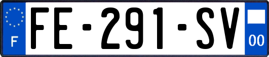 FE-291-SV